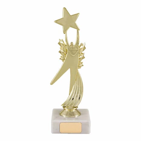 Star Award  statuett 17 cm